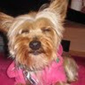 Poochie Glams foto