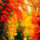 peggy_anderson72