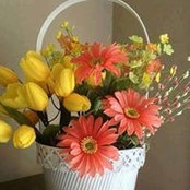 Foto von Cyndy Totten