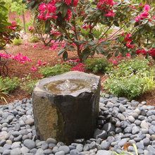 Garden Ideas