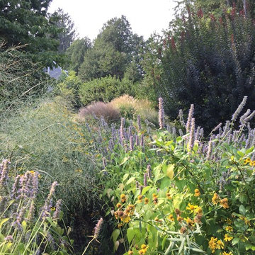 Meadow Planting, Westport CT