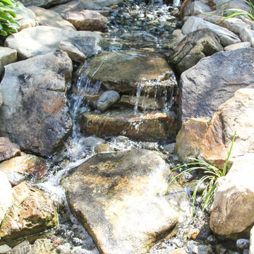 Backyard Retreat-Water Feature