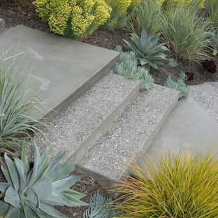 Inspiration for a mid-century modern drought-tolerant front yard landscaping in San Luis Obispo.