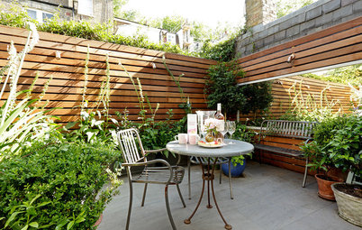 Stylish Ways to Create Privacy in your Garden