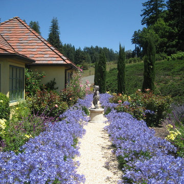 Freestone Estate Planting