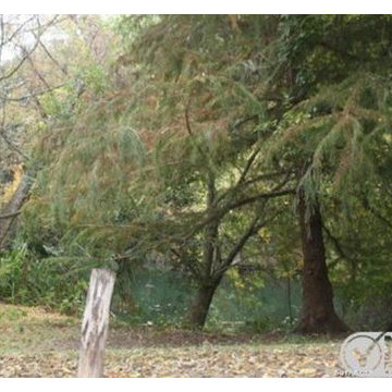 For Sale, 834 E Magnolia, San Antonio River, 423-56RIVER