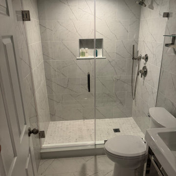 Bathroom Extensive Renovation high End