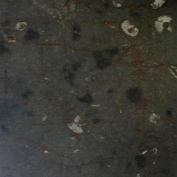 Big Fossil Marble Slab - Kitchen Countertops
