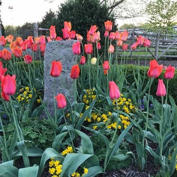 Linden Hill Gardens  Highlights