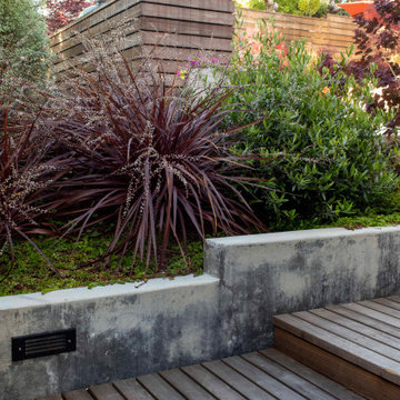 Outdoor Dining + Living