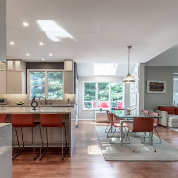 A Picture Perfect Kitchen Remodel in Reston VA