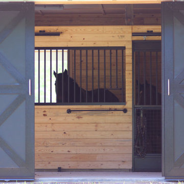 Virginia Barn-dominium