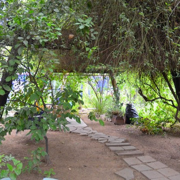 Artist's Garden