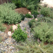 Lower Yard Landscape