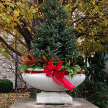 Winter containers