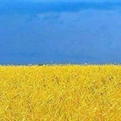 Sergiu Goreacioc's photo