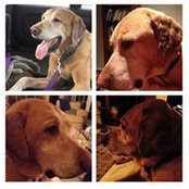 Tim Loungeway's photo