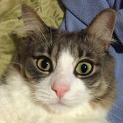 Clarice Berard's photo