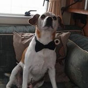 Paula Lewis Evans's photo