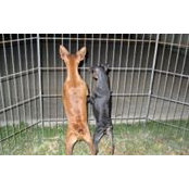Laura Lopez's photo