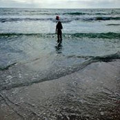 Amanda Kitson's photo
