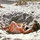 Michele Brown