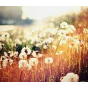 Dana George's photo