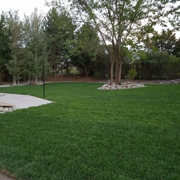 Landscaping Vineyard