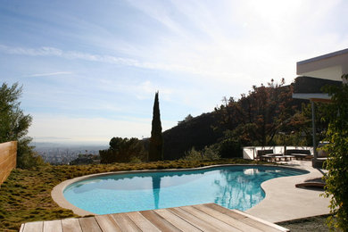 This is an example of a modern pool in Los Angeles.