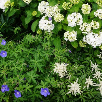 Tiny Front Garden
