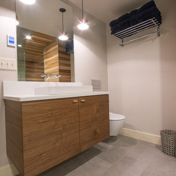 Basement Rec Room and Sauna