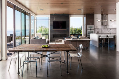 Example of a trendy concrete floor and gray floor great room design in Seattle with white walls and a ribbon fireplace
