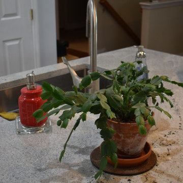 A Cook’s Domain