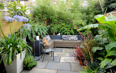 Jardín de la semana: Un patio gris transformado en oasis tropical