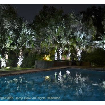 LED Lighting Warm and Cool Tones