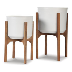 Rooted in Style: Decor Planters - Plants