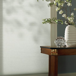Hunter Douglas Shades - Window Treatments