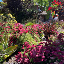 gardens