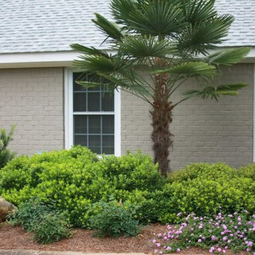 Seaside Gardening