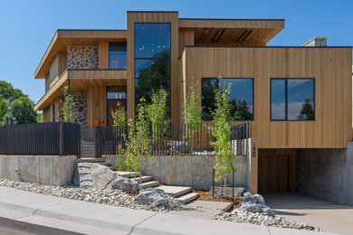 Mid-century modern exterior home photo in Denver