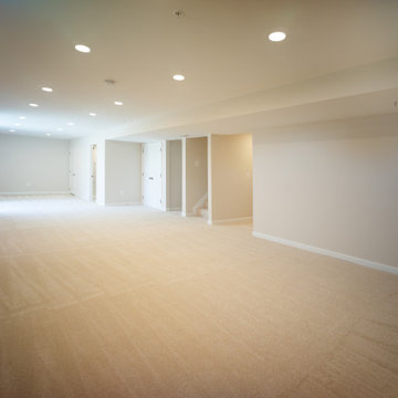 New Market Basement Finish
