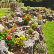 front garden