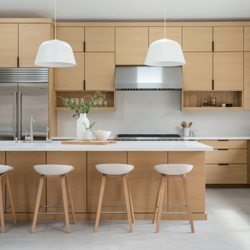Encinitas Addition & Remodel + ADU
