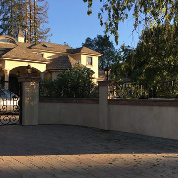 Custom made ornamental iron fence and gates.