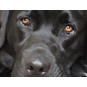 Trish Von Stanke's photo
