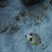 Luke Maingot's photo