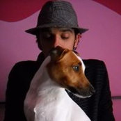Mauro Piccoli's photo