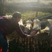 Ellie Mullins's photo