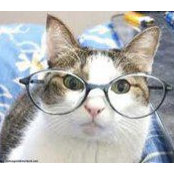 Tina Leva's photo