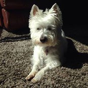 Marilyn Napp's photo
